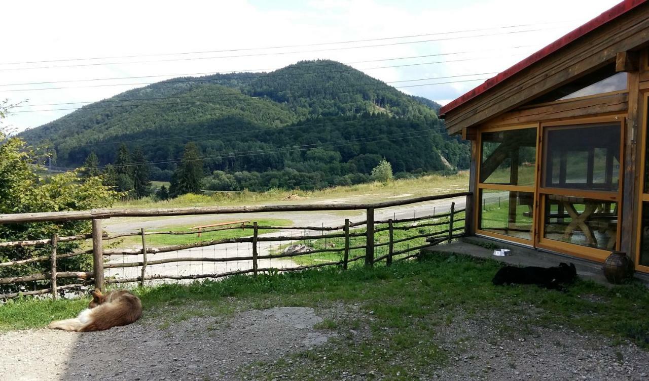 Penzion Racibor Árvaváralja Kültér fotó